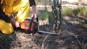 Best Mulching Services  in Salinas, CA